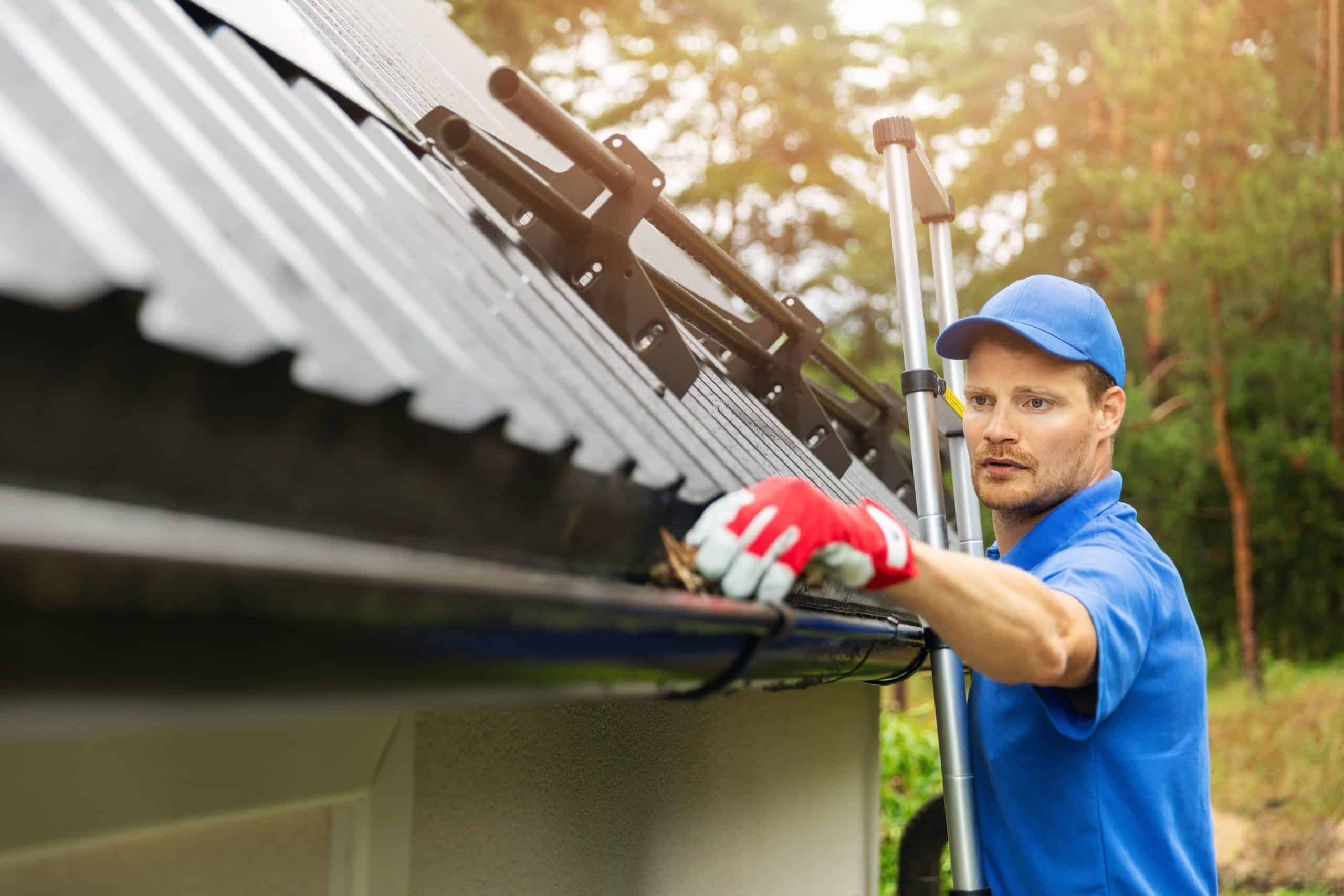 Gutter maintenance