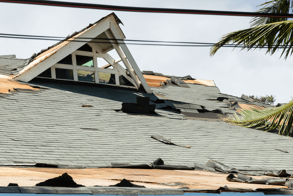 wind damage