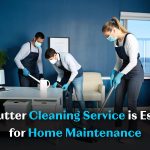 gutter cleaning service